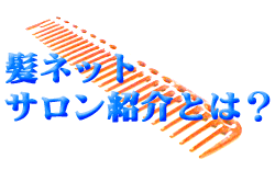 �T�����K�C�h����TOP�ցB